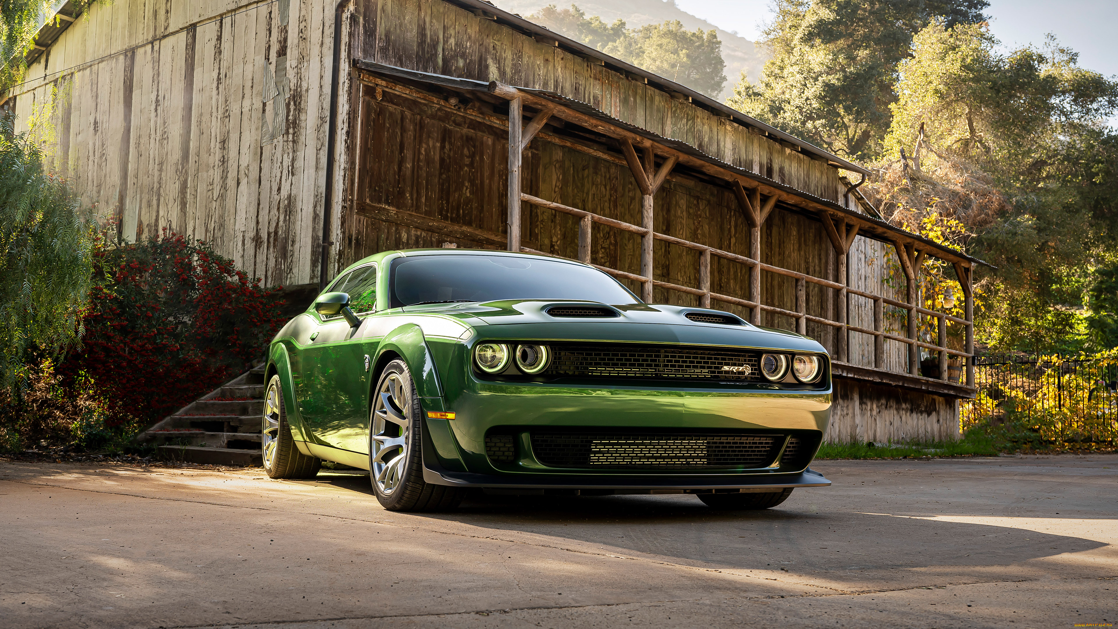 Dodge Challenger srt Hellcat 2022